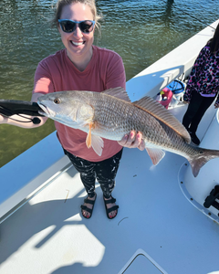 Redfish caught in FL measuring 23 inches