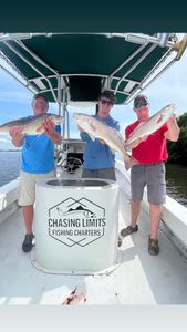 3 redfish caught on a fishing tour in FL