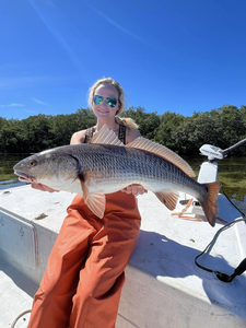 Redfish caught fishing in Holmes Beach