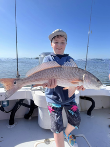 Redfish caught in Holmes Beach