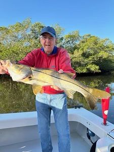 Snook fish being caught while fishing in FL