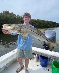 A 39-inch snook caught while fishing in Holmes Beach
