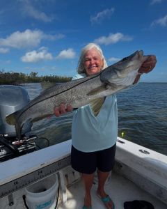Snook fish caught in FL during fishing tour