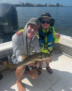 A single snook fish caught in Holmes Beach