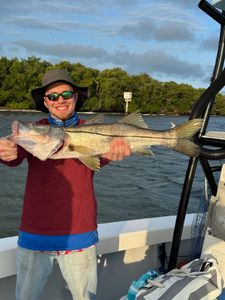 Snook caught on fishing tour in Holmes Beach