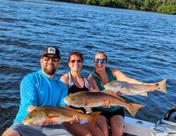 Three large redfish caught while fishing in Holmes Beach