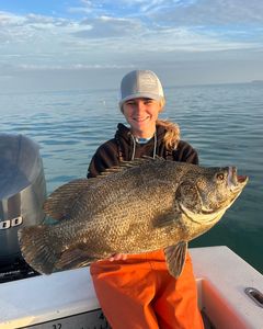 Tripletail fish caught on a fishing tour in FL
