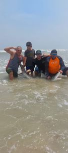 Photograph of a 14-inch Atlantic Sharpnose Shark caught while fishing in TX