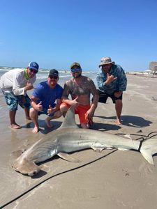 Blacktip Shark, a 60-inch fish caught while fishing in TX