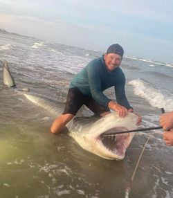 Bonnethead shark caught while fishing in Port Aransas TX shallow waters