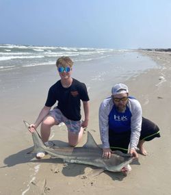 Blacktip shark caught fishing in Port Aransas TX on beach