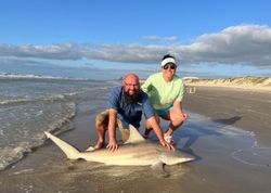 Blacktip shark caught while fishing in Port Aransas TX on beach with ocean waves