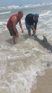 Fishing adventure at Port Aransas