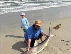 Sandbar shark, 52 inches, fishing in TX