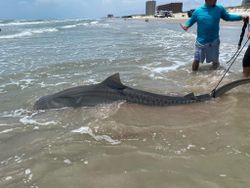 A fishing trip in TX