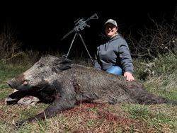 Successful night hunt with a wild boar.