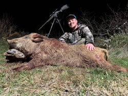 Hard-earned wild boar victory.