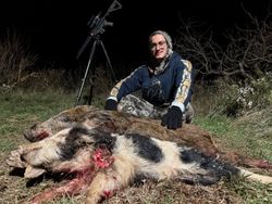 Successful hunt with two wild boars.