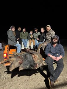 Memorable hunt with the crew and wild boars.