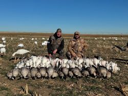 Successful snow goose hunt.
