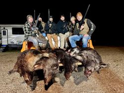 Successful wild boar hunt with the crew.