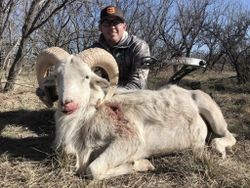 A person hunting in Archer City