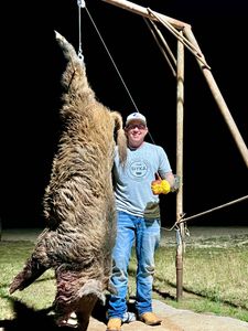 Solitary hunter in TX