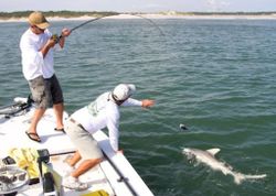 Angler fishing at scenic location in Jacksonville