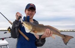 Redfish caught in Jacksonville, Florida