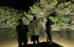 A person fishing in FL