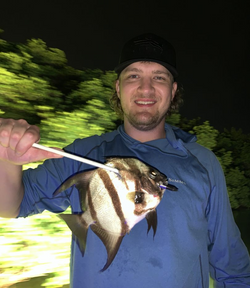 One person fishing in Tampa