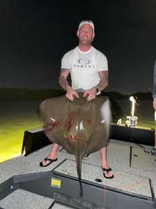 Tampa's hidden gems: Stingrays up close.