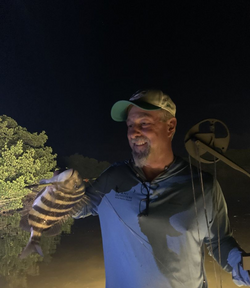 Sheepshead fish caught on FL fishing tour