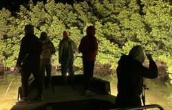 Tampa fishing tour adventure