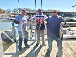 Fish with friends in Lake Texoma