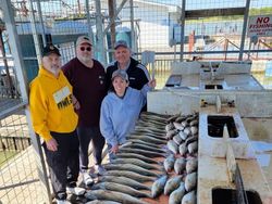 Lake Texoma Striper Adventure 