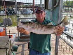 Striped Bass fishing in Lake Texoma