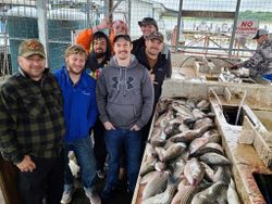 Group of 7 people fishing in Kingston
