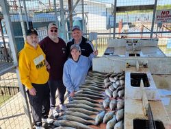 Four people fishing in Kingston