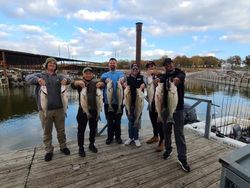 5 sockeye salmon and great barracuda in a fishing scene