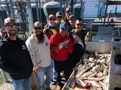 Group of 8 people fishing in Kingston