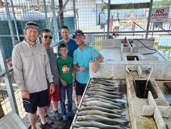 Five people fishing in Kingston