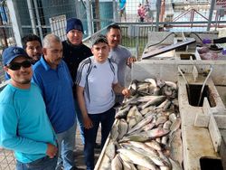 Group of six people enjoying a fishing trip in Kingston