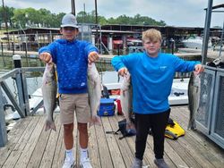 Four striped bass caught in Kingston