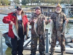 6 white bass and striped bass fishing in Kingston