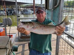 Striped bass caught in OK while fishing