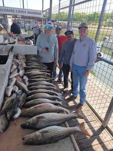 Two striped bass caught while fishing in OK