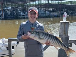 Striped bass fishing catch in Oklahoma