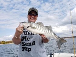 Striped bass, 23 inches, caught while fishing in Kingston