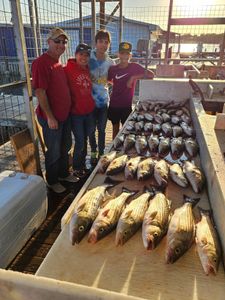 5 striped bass caught during fishing trip in Kingston